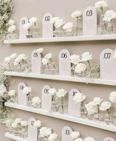 white flowers are arranged in glass vases on the wall next to eachother