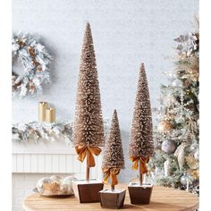 three small trees sitting on top of a wooden table