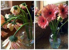 two pictures of pink and yellow flowers in vases on the counter next to each other