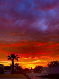 the sun is setting over some houses and palm trees in front of a colorful sky