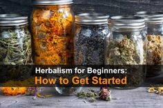 Herbalism for Beginners: How to Get Started