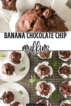 chocolate chip muffins on a cooling rack with green leaves and text overlay that reads, banana chocolate chip muffins