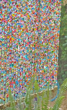 a bunch of beads hanging from the side of a tree in front of some plants