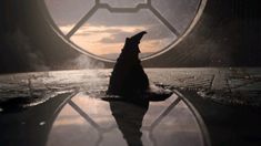 a dog sitting on the ground in front of a circular window at sunset or dawn