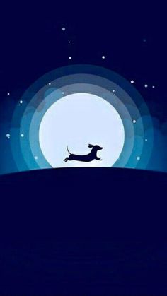 a dog is running across the night sky