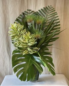 a vase filled with lots of green plants on top of a white tablecloth covered wall