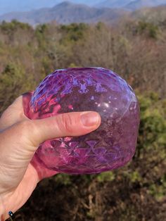 a hand holding a large purple rock in front of some trees and bushes with mountains in the background