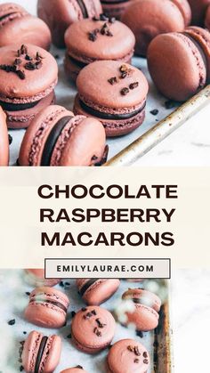 chocolate raspberry macarons on a baking sheet with the title overlay