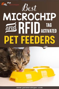 microchip pet feeder