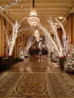 the hallway is decorated with christmas lights and trees