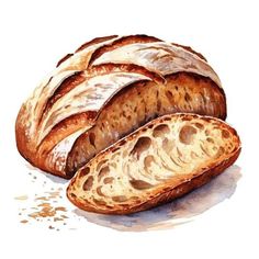 watercolor painting of bread on white background