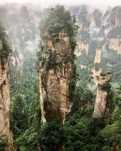 the mountains are covered in trees and fog