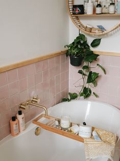 a bathroom with pink tiles and a plant in the corner on the bathtub shelf