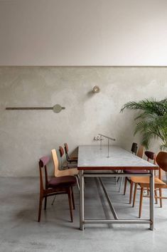 a dining room table with chairs and a potted plant on the wall behind it