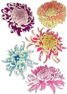 four different colored flowers are shown in this drawing style, each with an intricate design