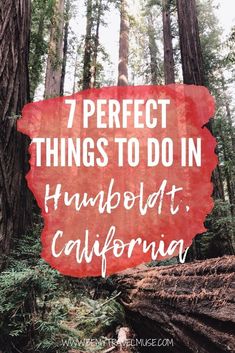 trees with the words 7 perfect things to do in humboldt, california on top of them