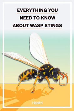 A wasp sting is usually painful and may cause a mild, moderate, or severe reaction. Learn about symptoms, treatment, prevention, and more. Wasp Stings Relief, Wasp Sting, Sting Relief, Bite Relief, Urgent Care Clinic, Health Routine