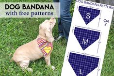 a dog wearing a bandana sitting in the grass next to a sign that says, dogs bandana with free patterns