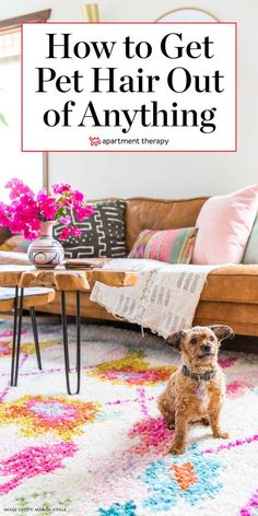 a dog sitting on the floor in front of a couch and table with pink flowers