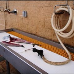 two fish on a conveyor belt with hoses attached to the back and sides