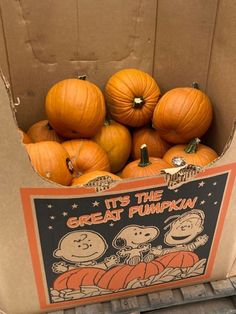 pumpkins in a cardboard box with an advertisement for it's the great pumpkin