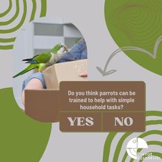 a green bird sitting on top of a cardboard box next to a woman's face