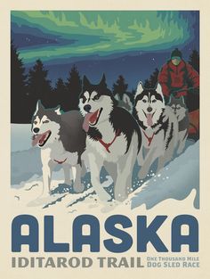 an alaska poster with three husky dogs pulling a sled