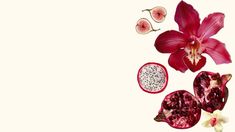 a pink flower and two pieces of fruit on a white background with space for text