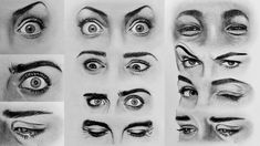 various types of eyes with different shapes and sizes, all drawn in pencil on paper