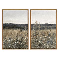 two framed paintings of wildflowers in a field