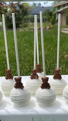 white cake pops with chocolate teddy bears on them sitting on a table in the grass