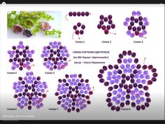 an image of different types of flowers in purple and green colors, with the same color scheme