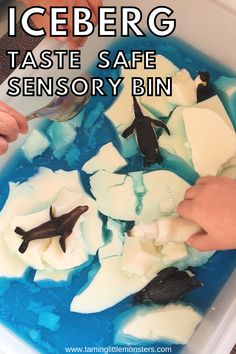 an icebergg taste safe sensory bin is shown