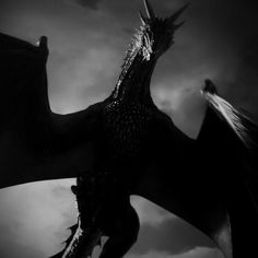 a black and white photo of a dragon