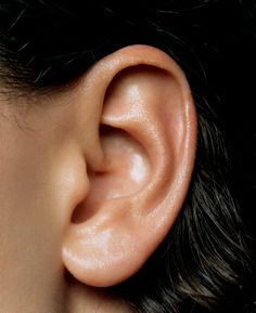 an ear is shown with the middle part missing