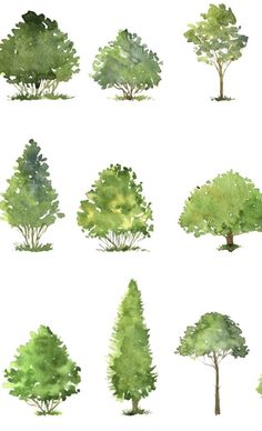 watercolor trees are shown in different positions