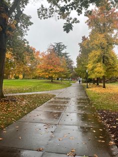 a wet sidewalk in the middle of a park with lots of trees and leaves on it