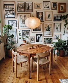 a dining room table surrounded by pictures and plants