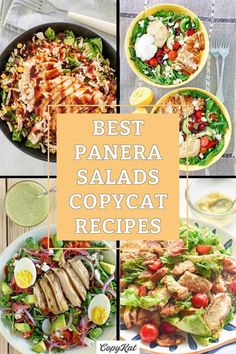 the best panera salads and copycat recipes for any type of meal that you want to eat