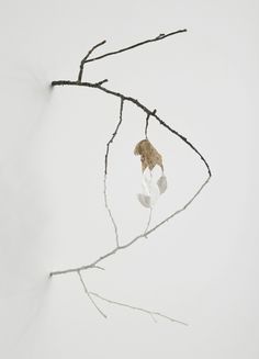 a small bird perched on top of a tree branch in the snow with no leaves