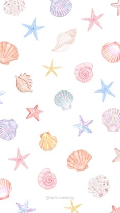 watercolor seashells and starfish on a white background