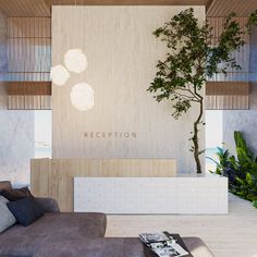 a living room with a couch, coffee table and potted tree in the corner