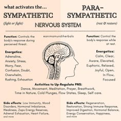 What Is The Nervous System, Sympathetic And Parasympathetic Nervous System, Nervous System Yoga, Healing My Nervous System, Yoga For Nervous System, How To Activate Parasympathetic Nervous System, Activate Parasympathetic Nervous System, Nervous System Health, Parasympathetic Nervous System Activate