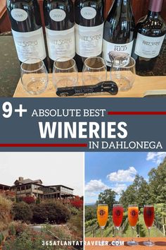 wine bottles and glasses with the words 9 + absolute best wines in dalllonga