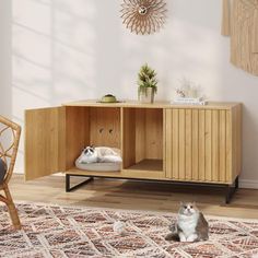 a cat sitting on top of a rug next to a wooden cabinet