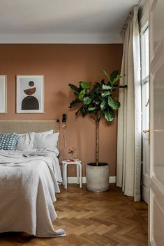 a bed sitting in a bedroom next to a potted plant on top of a wooden floor