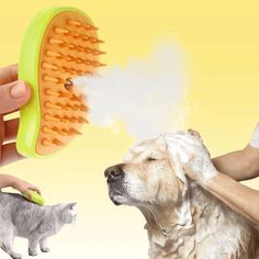 a dog is being groomed by a person with a brush on it's head