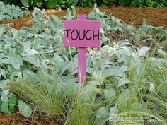 a pink sign that says touch in front of some green plants and dirt with bushes around it