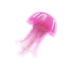 a pink jellyfish floating in the water on a white background with clippings