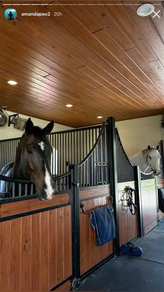 there is a horse that is looking over the fence in the stable and it looks like he's getting ready to jump